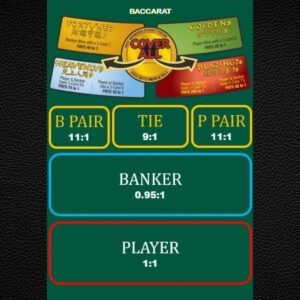 Baccarat Casino Play Mat- All Major Side Bets Included - Waterproof
