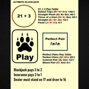 Blackjack Side Bet Mat – Laminated Casino Layout (A4)