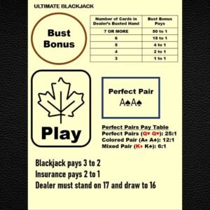 Waterproof Blackjack Mat A4: Side Bets, Home Casino